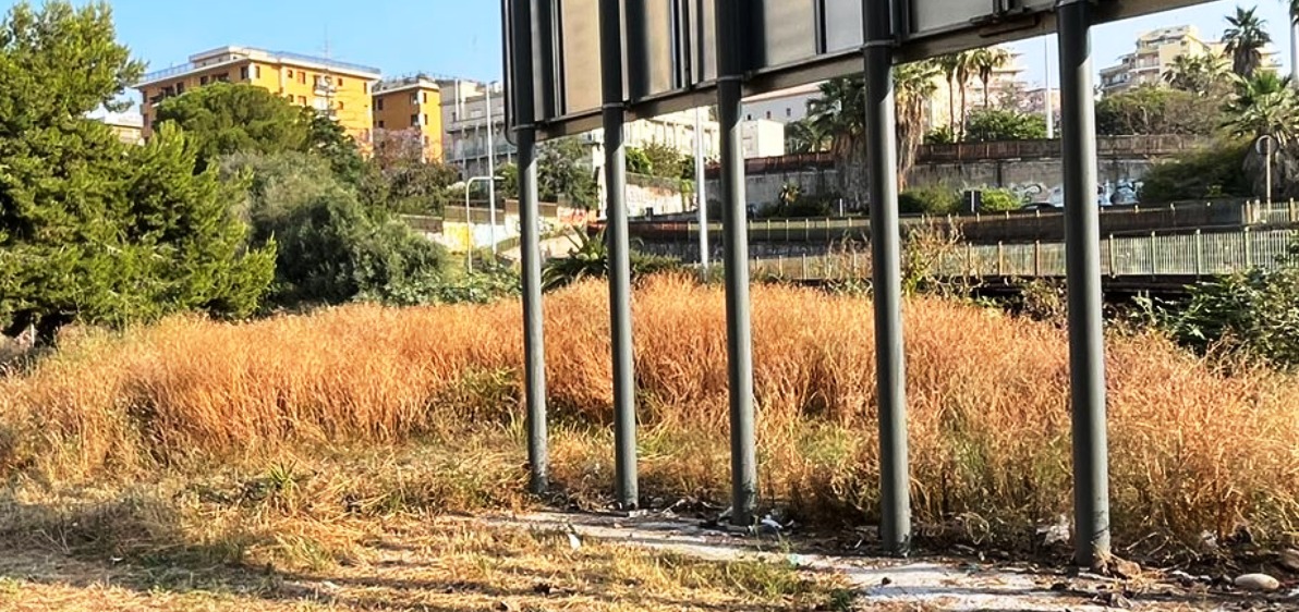 Oasi verdi abbandonate e rischio incendi a Borgo Sanzio. L’allarme della Consigliera Angela Cerri