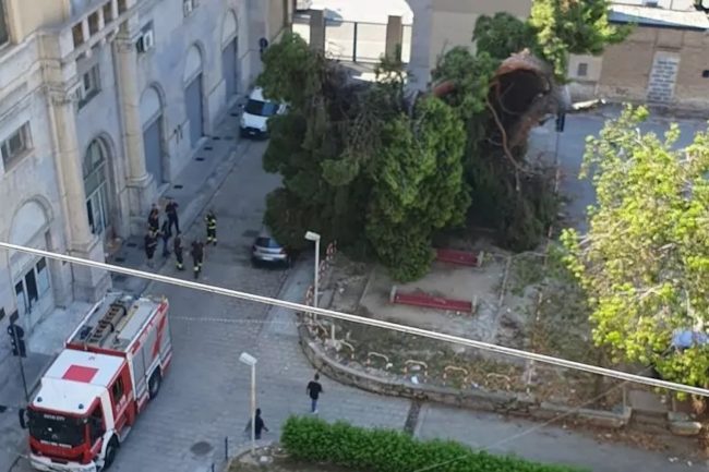 Cadono due alberi a Palermo, uno su auto parcheggiata davanti alla circoscrizione comunale