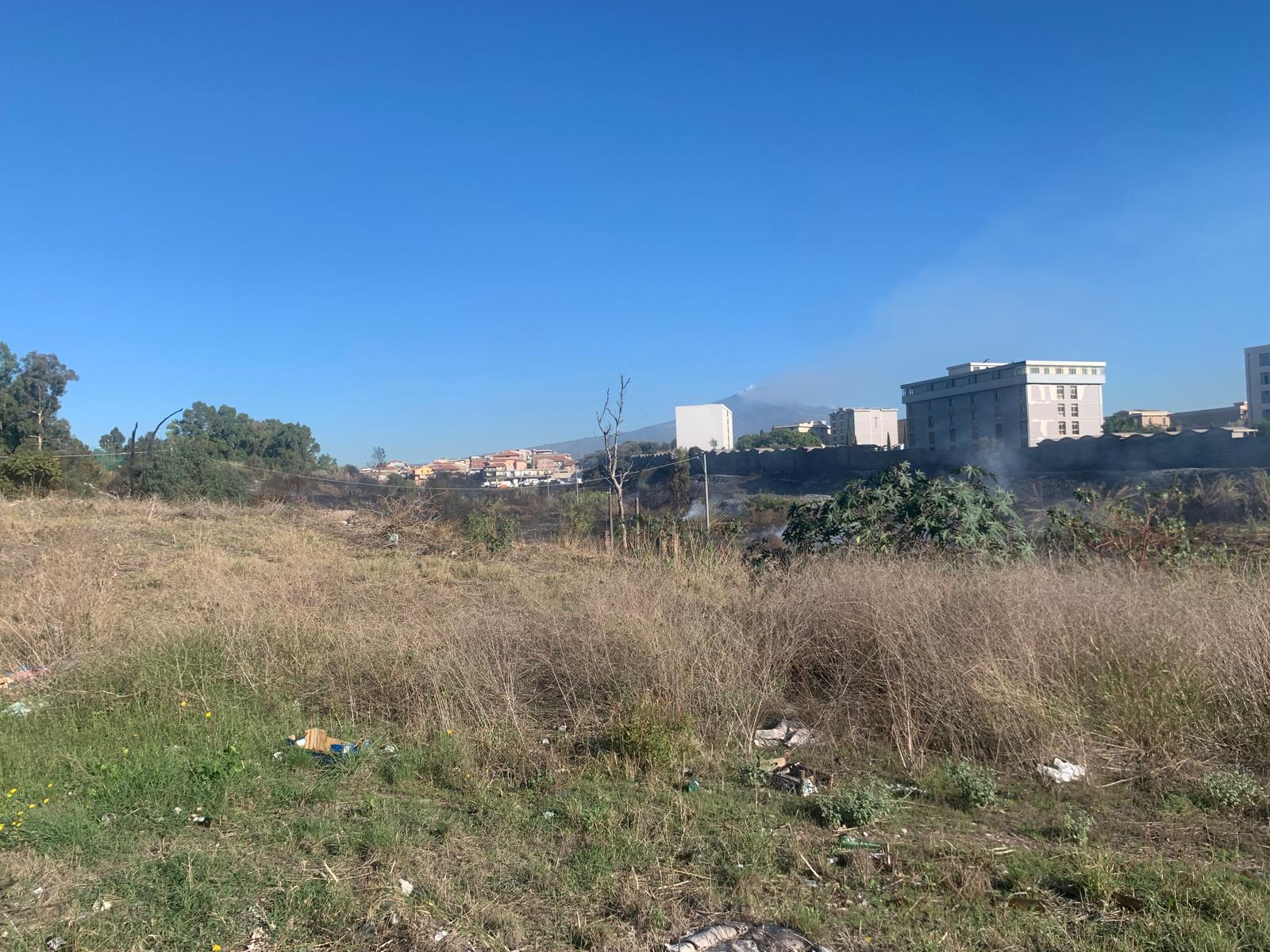 Incendi a Catania, il consigliere Cardello sollecita misure urgenti di prevenzione