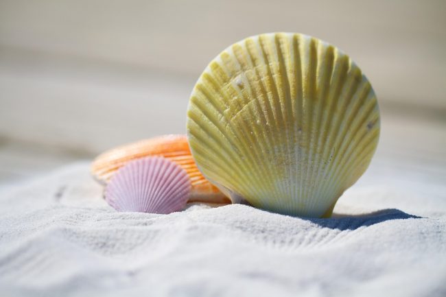 Caro spiagge Sicilia: tra sole, mare e rincari fuori stagione