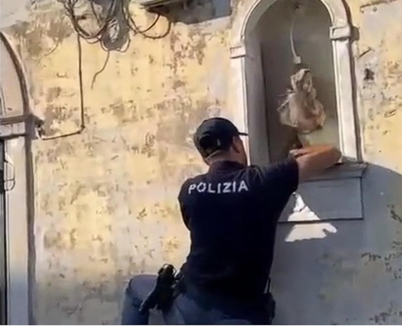 Evade dai domiciliari per vendere cocaina in strada: un arresto a Picanello – VIDEO