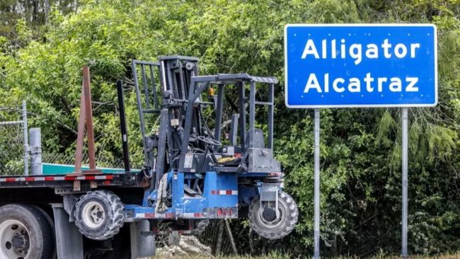 “Siamo in gabbia come polli”: l’appello di Gaetano Mirabella Costa dall’Alligator Alcatraz
