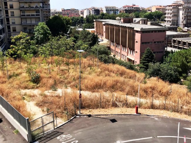 Piazza Lombardo Radice, terreno abbandonato e a rischio incendio: cresce la protesta dei residenti