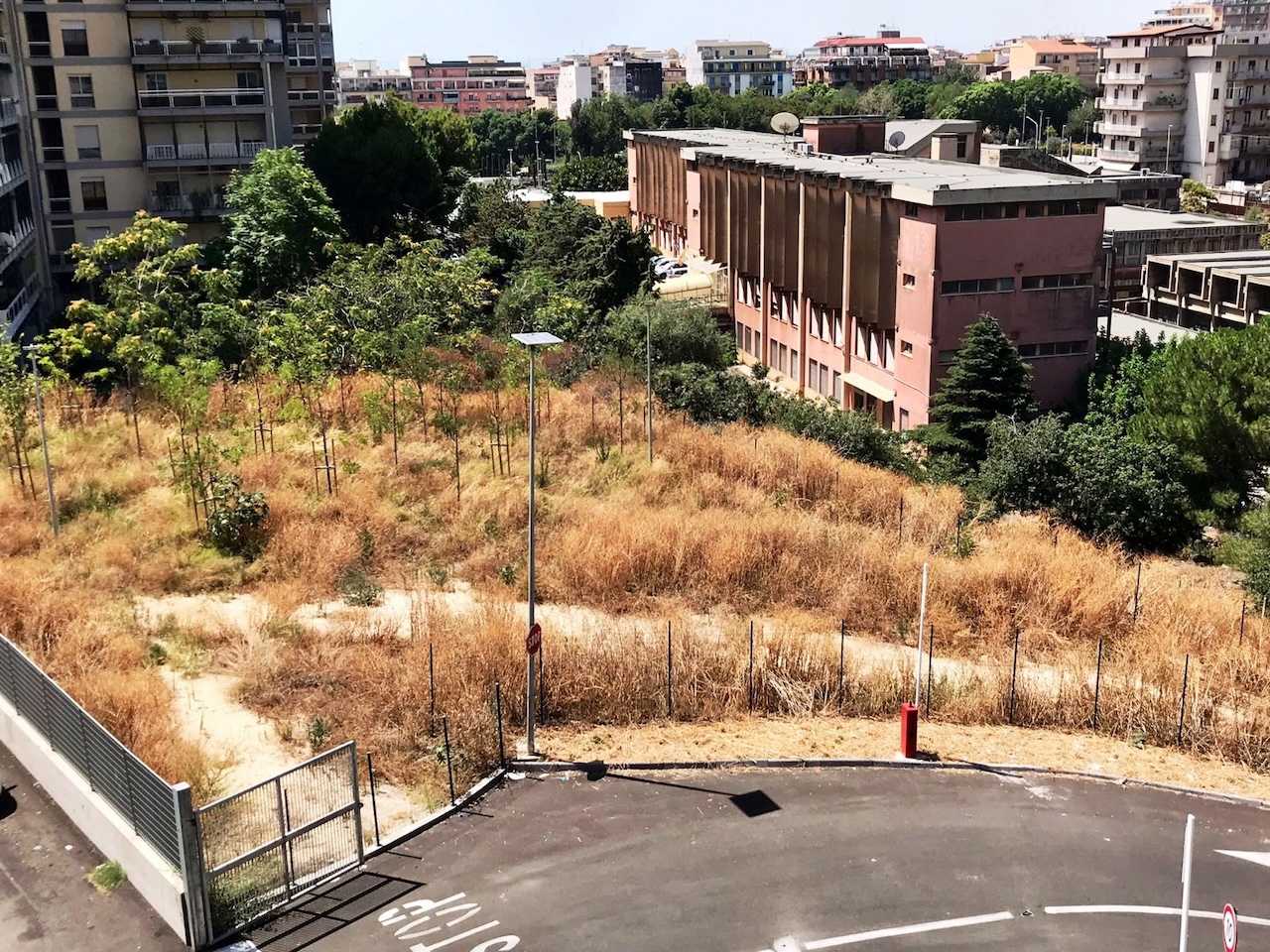 Piazza Lombardo Radice, terreno abbandonato e a rischio incendio: cresce la protesta dei residenti