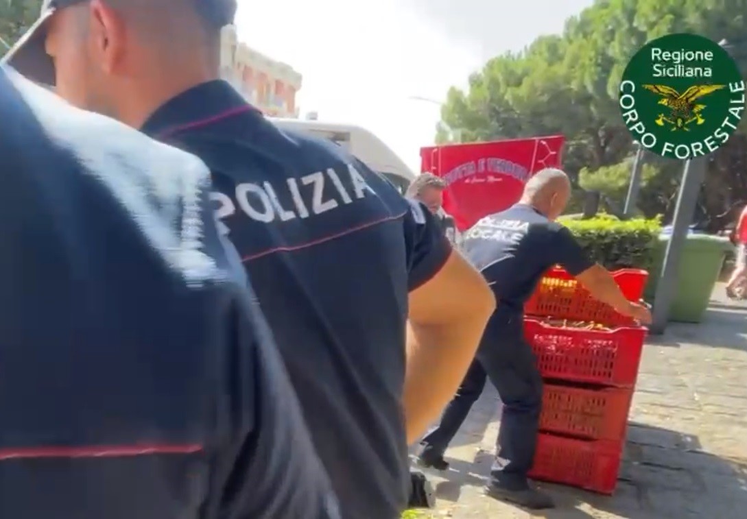 Catania, sequestrati al mercatino di Barriera oltre 420 kg di uva da tavola – VIDEO