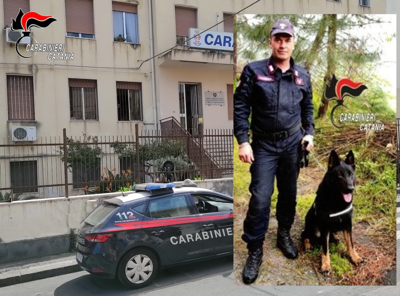 Addio ad Auro, cane antidroga dei Carabinieri di Nicolosi: per otto anni al servizio della legalità