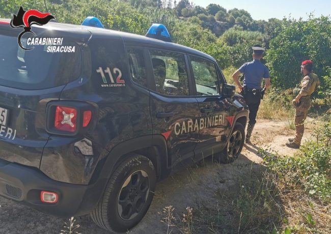 Lentini, scoperta piantagione di marijuana: arrestati due uomini mentre innaffiavano