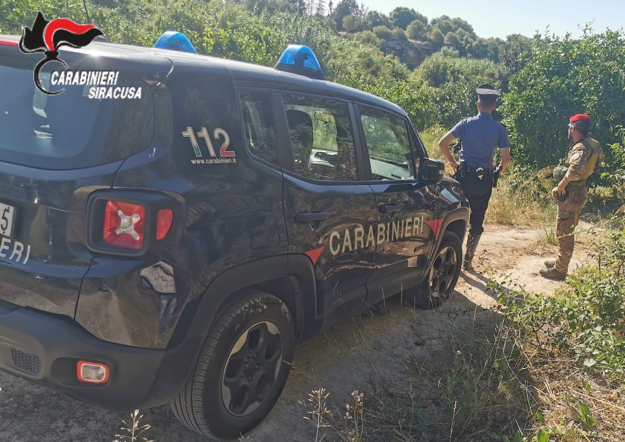 Lentini, scoperta piantagione di marijuana: arrestati due uomini mentre innaffiavano