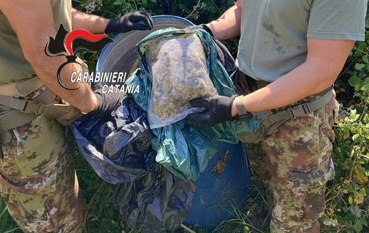 Paternò, blitz antidroga in contrada Pantano: 2 arresti, sequestrato oltre 1kg di marijuana