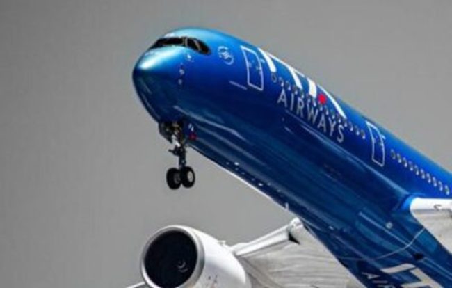 Bird strike per un volo da Palermo: aereo Ita Airways costretto a rientrare