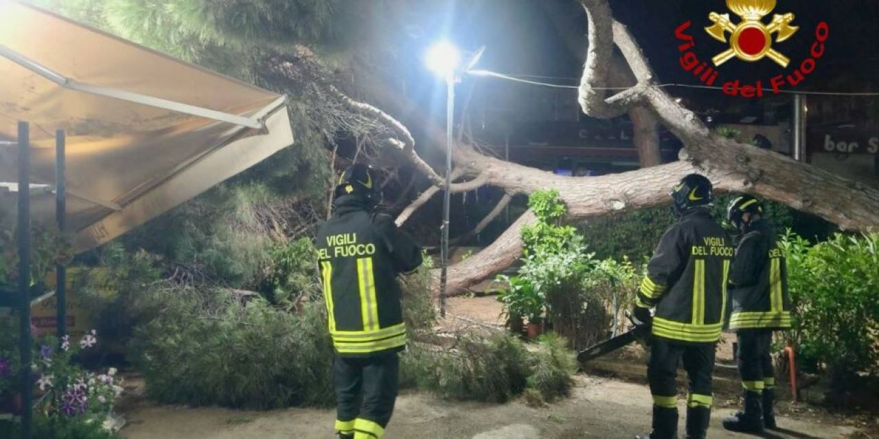 Tragedia sfiorata a Palermo: albero crolla in piazza Indipendenza