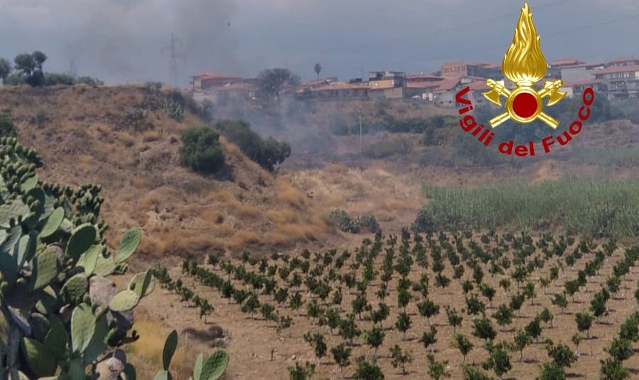Incendio di sterpaglie a Catania: in azione i vigili del fuoco