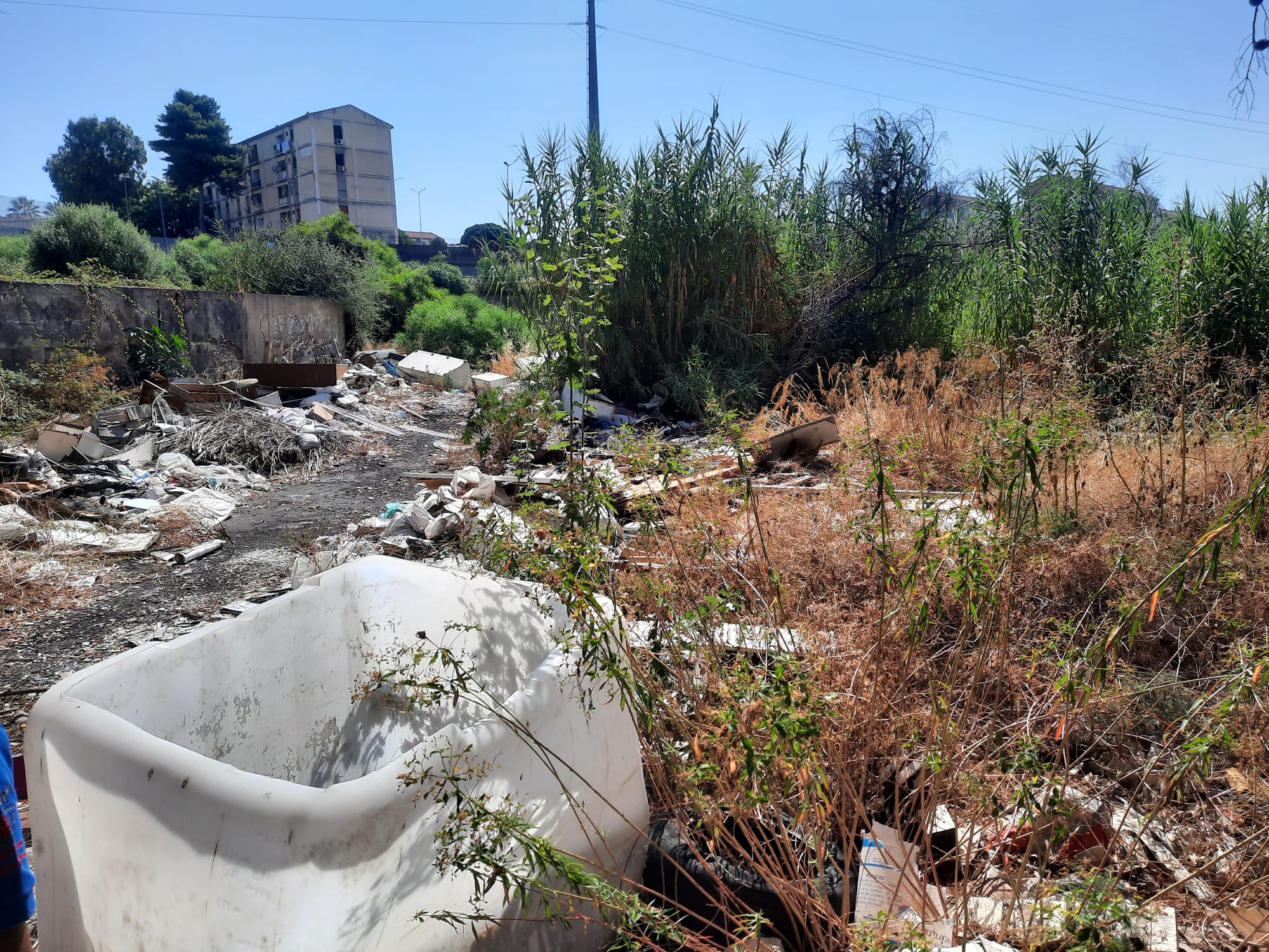 Il sopralluogo all’ex plesso “Brancati”, la denuncia della CISAL Catania e la richiesta di risposte concrete