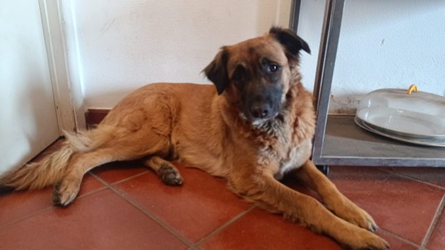 Scomparsa Olivia