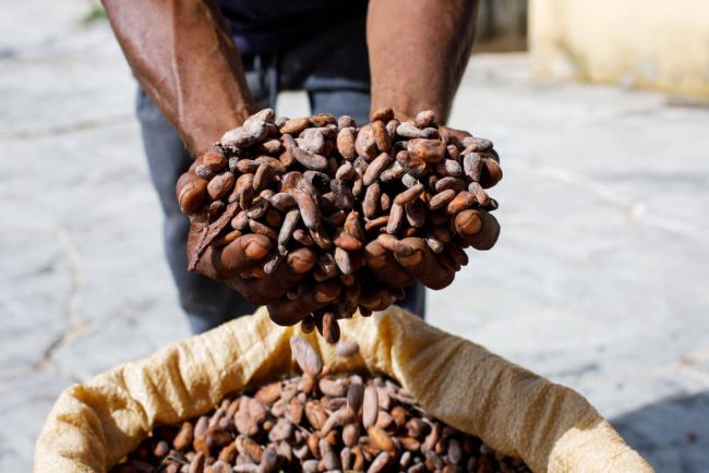 Cioccolato bean to bar in Italia: la rivoluzione della filiera corta e sostenibile