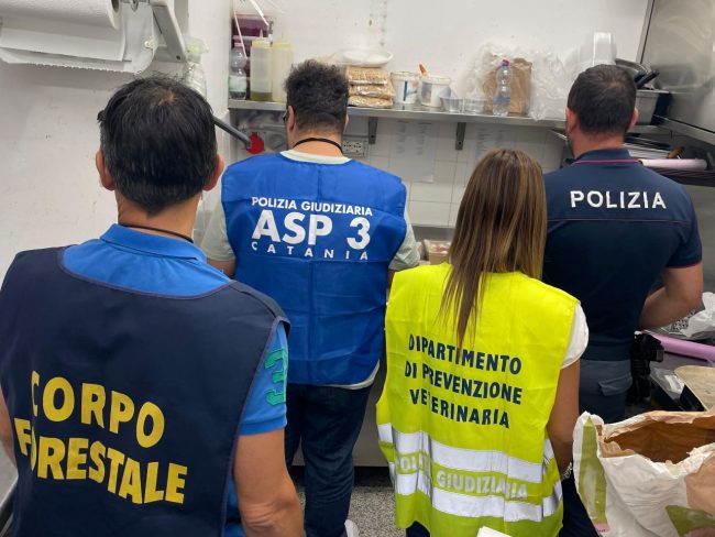 Chiusi tre bar dell’aeroporto di Catania: blatte e irregolarità. Le parole della SAC – VIDEO