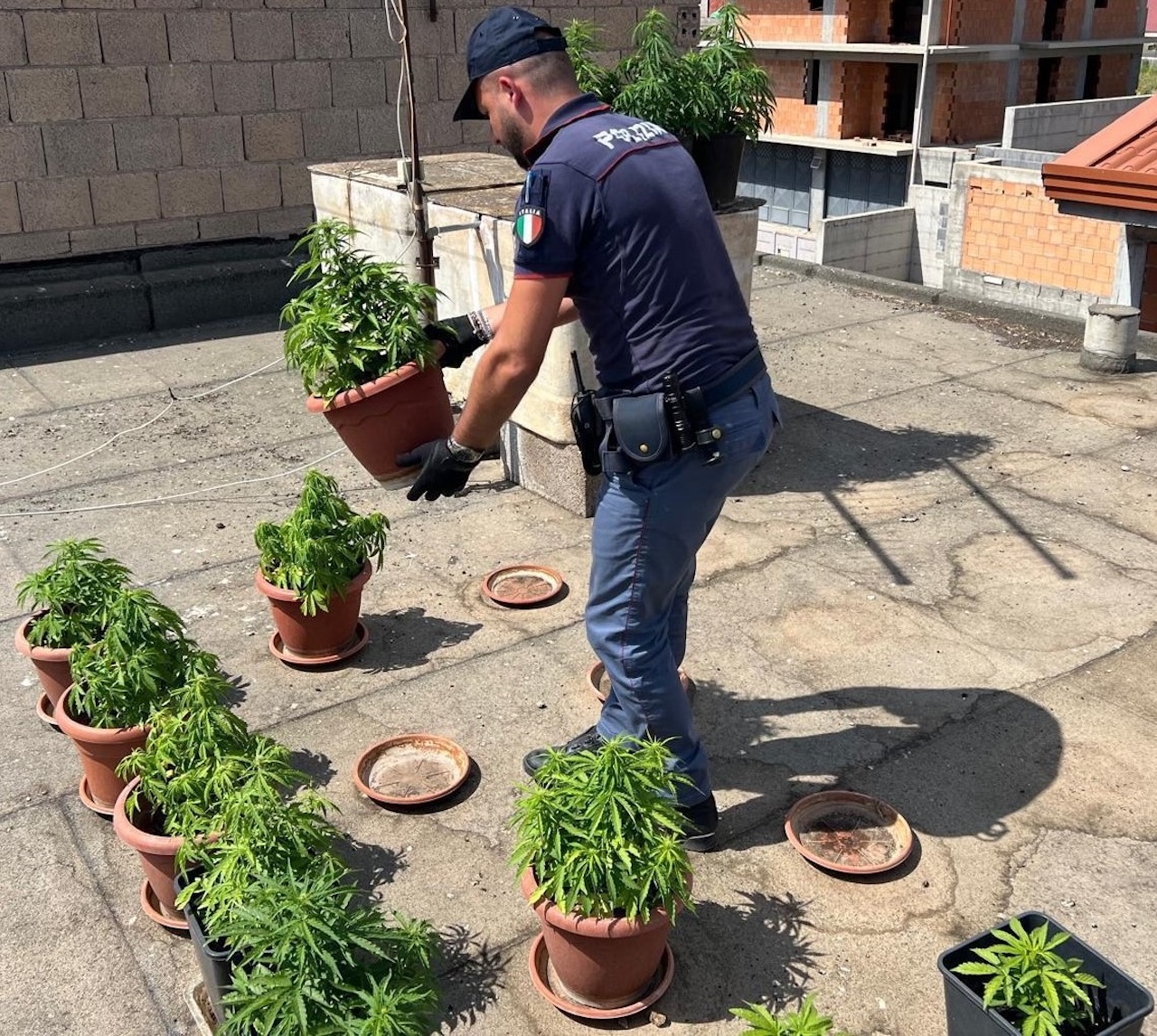 Biancavilla: 19enne coltiva marijuana sul tetto di casa, arrestato dalla Polizia