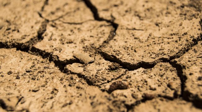 Siccità, stanziati 35 milioni di euro per le aziende