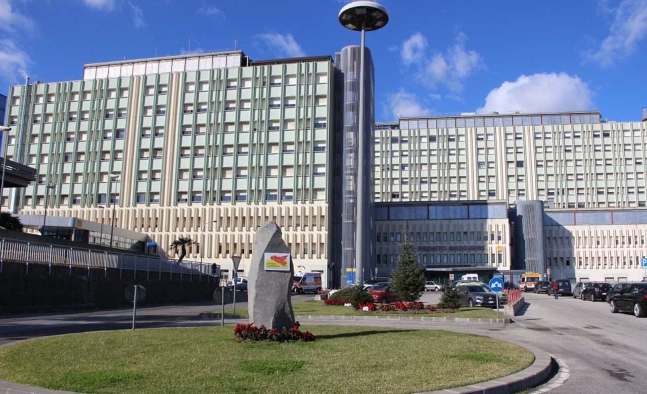 Primo caso di West Nile a Catania: ricoverato in Rianimazione un 74enne di Caserta