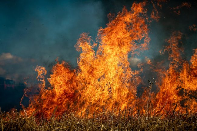 Incendi boschivi in ​​Sicilia, squadre di soccorso inviate da Palermo a Catania