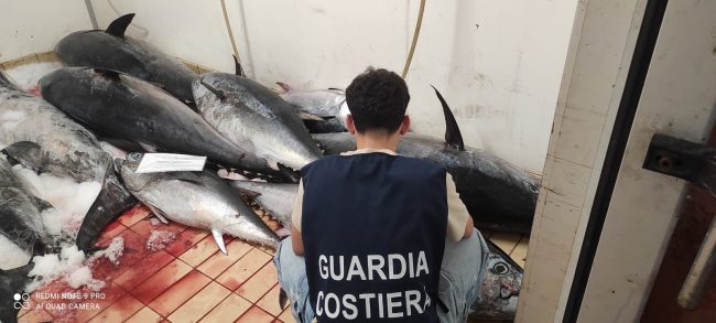 Catania, maxi sequestro di tonno rosso e pesce mal conservato