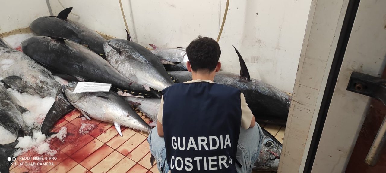 Catania, maxi sequestro di tonno rosso e pesce mal conservato