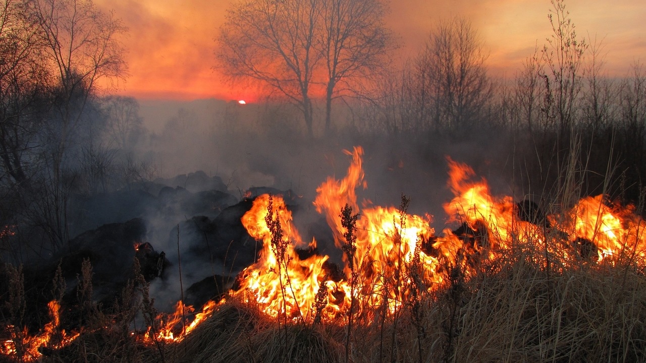 Incendi, il Comune di Belpasso avvia la raccolta delle segnalazioni di danni in vista di possibili ristori regionali