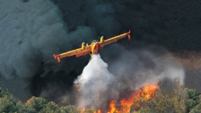 Incendio tra Troina e Gagliano, fiamme minacciano aziende agricole e allevamenti di bestiame