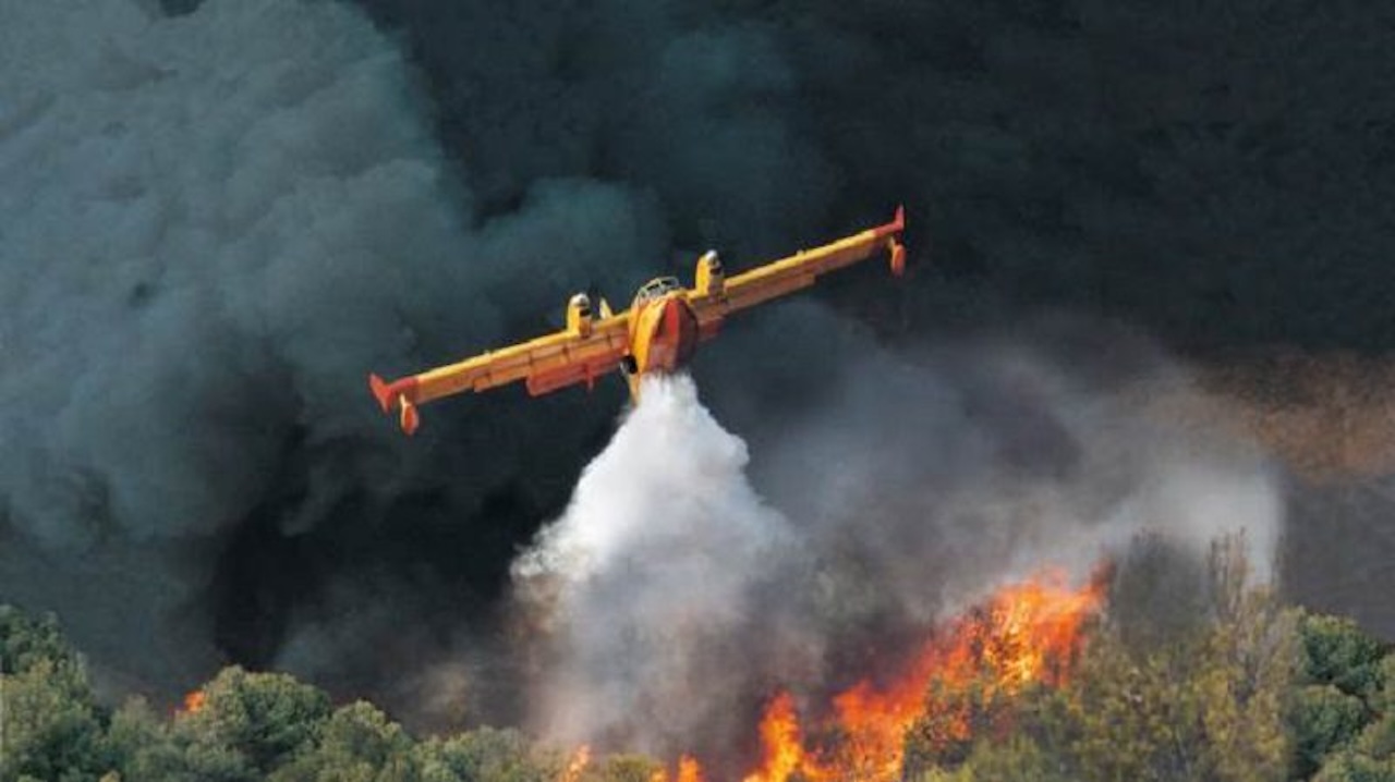 Incendio tra Troina e Gagliano, fiamme minacciano aziende agricole e allevamenti di bestiame