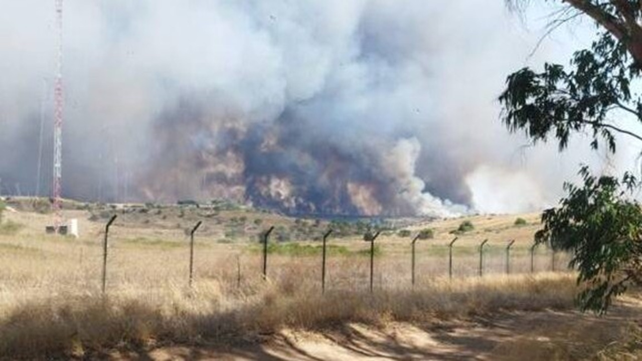 Niscemi, incendio devasta la Sughereta: distrutti 5 km di riserva, sfiorata la base Usa del Muos
