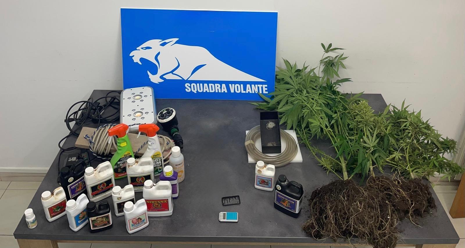Modica, coltivazione di marijuana “home made”: arrestato 30enne