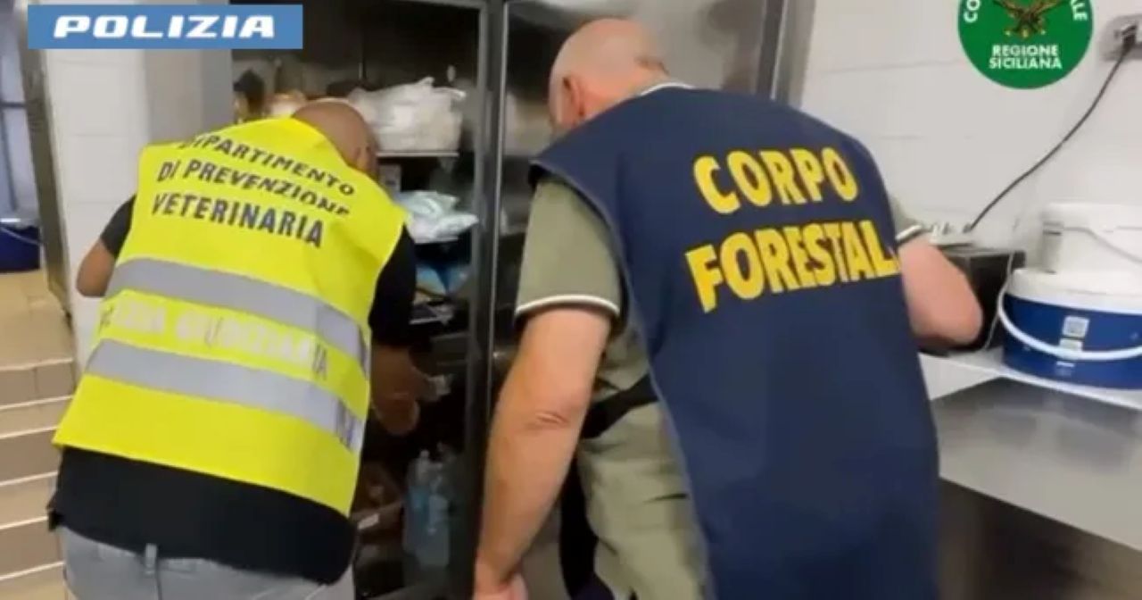 Sporcizia e blatte nel laboratorio di un bar-gelateria sul lungomare di Catania: denunciato il titolare e sanzioni per circa 15mila euro