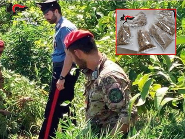 Giarre, marijuana nascosta dietro un caminetto: arrestato 48enne