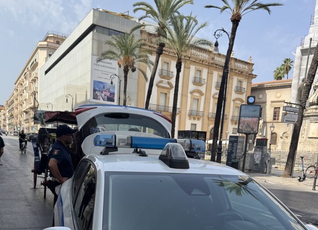 Palermo, vetturino sanzionato per violazione dell’ordinanza sul benessere animale
