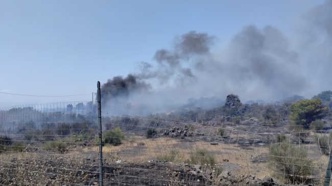 Camporotondo Etneo, incendio lungo il Viale dello Sport: strada chiusa, fiamme sotto controllo