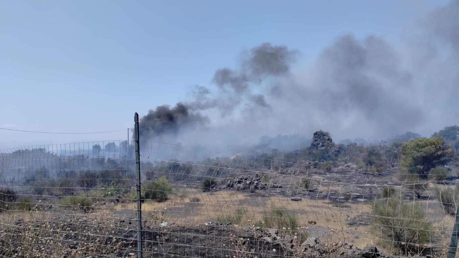 Camporotondo Etneo, incendio lungo il Viale dello Sport: strada chiusa, fiamme sotto controllo
