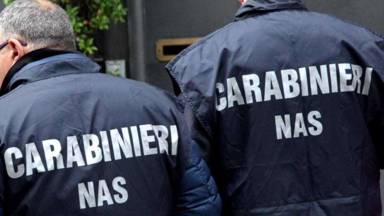 Muffa e ragnatele in un panificio nel Catanese: denunciato il titolare