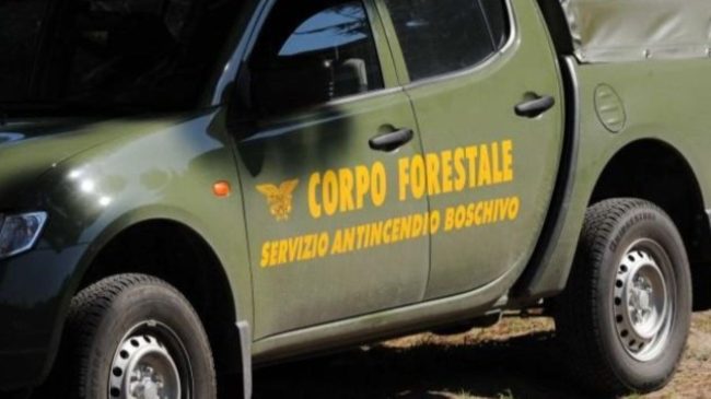 Assunzioni Corpo Forestale in Sicilia: via libera per 369 agenti nel biennio