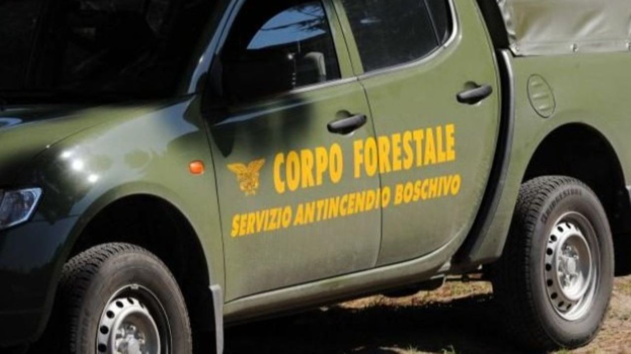 Assunzioni Corpo Forestale in Sicilia: via libera per 369 agenti nel biennio