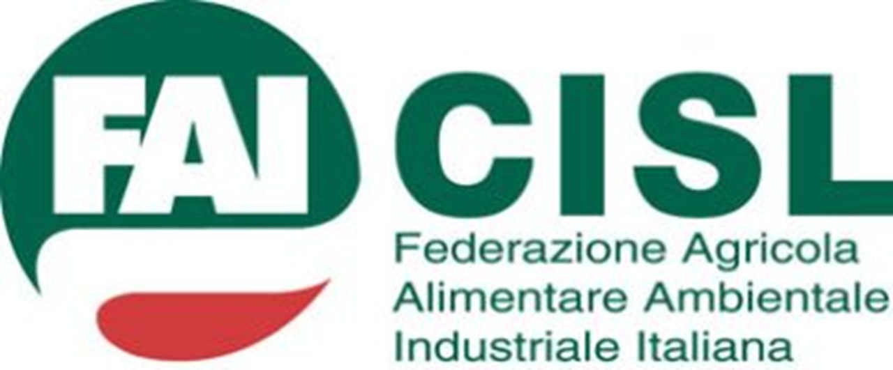 Oda, la Cisl chiede garanzie per 280 lavoratori: “Affitto del ramo sanitario con trasparenza e tutele”
