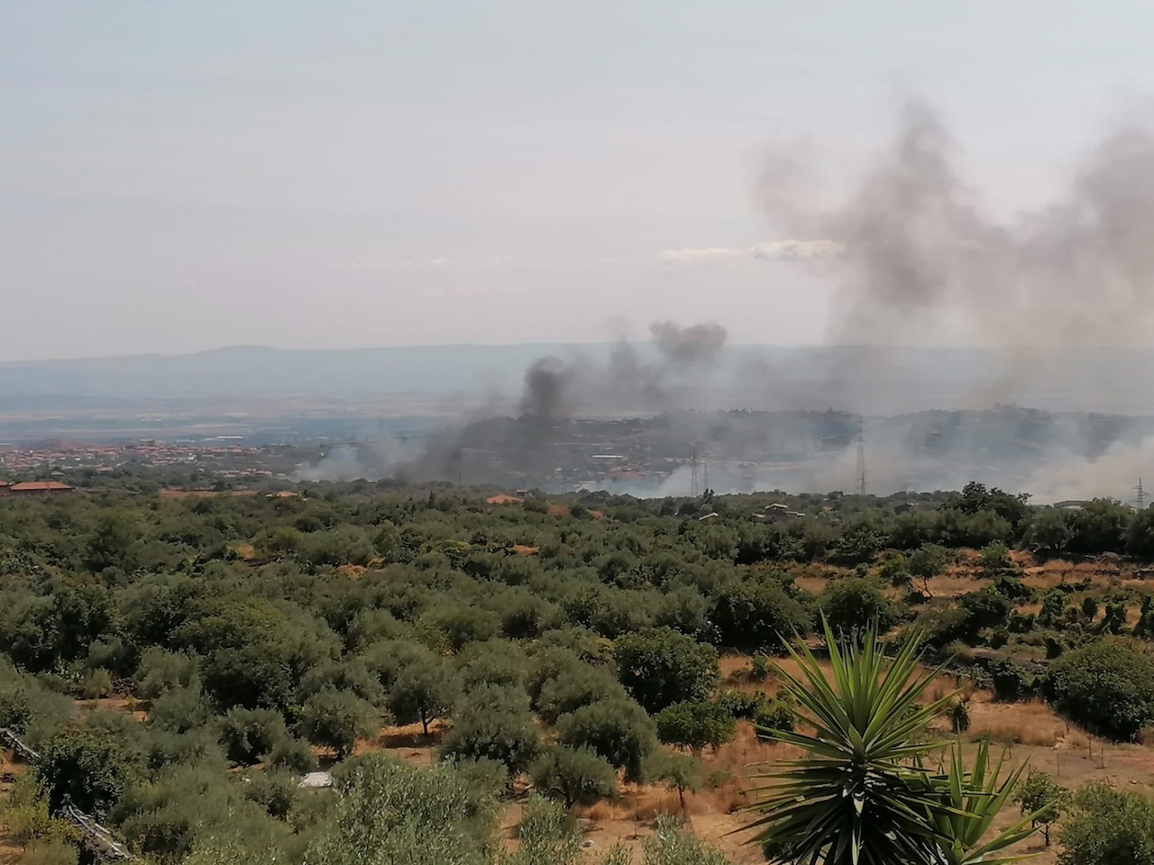 Incendio nella zona Nord di Contrada Feudotto. Comune di Camporotondo Etneo: “Massima prudenza”