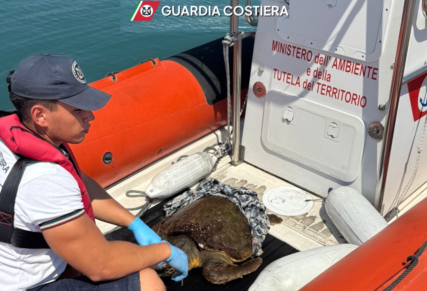 Salvata una tartaruga “Caretta-caretta” in difficoltà alla Riserva dello Zingaro