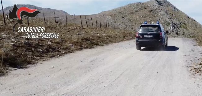 Palermo, tentano di incendiare 500 kg di cavi di rame nel bosco di Billiemi: arrestati due uomini
