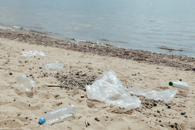 Ferragosto solidale, volontari in prima linea per l’ambiente a Isola delle Femmine