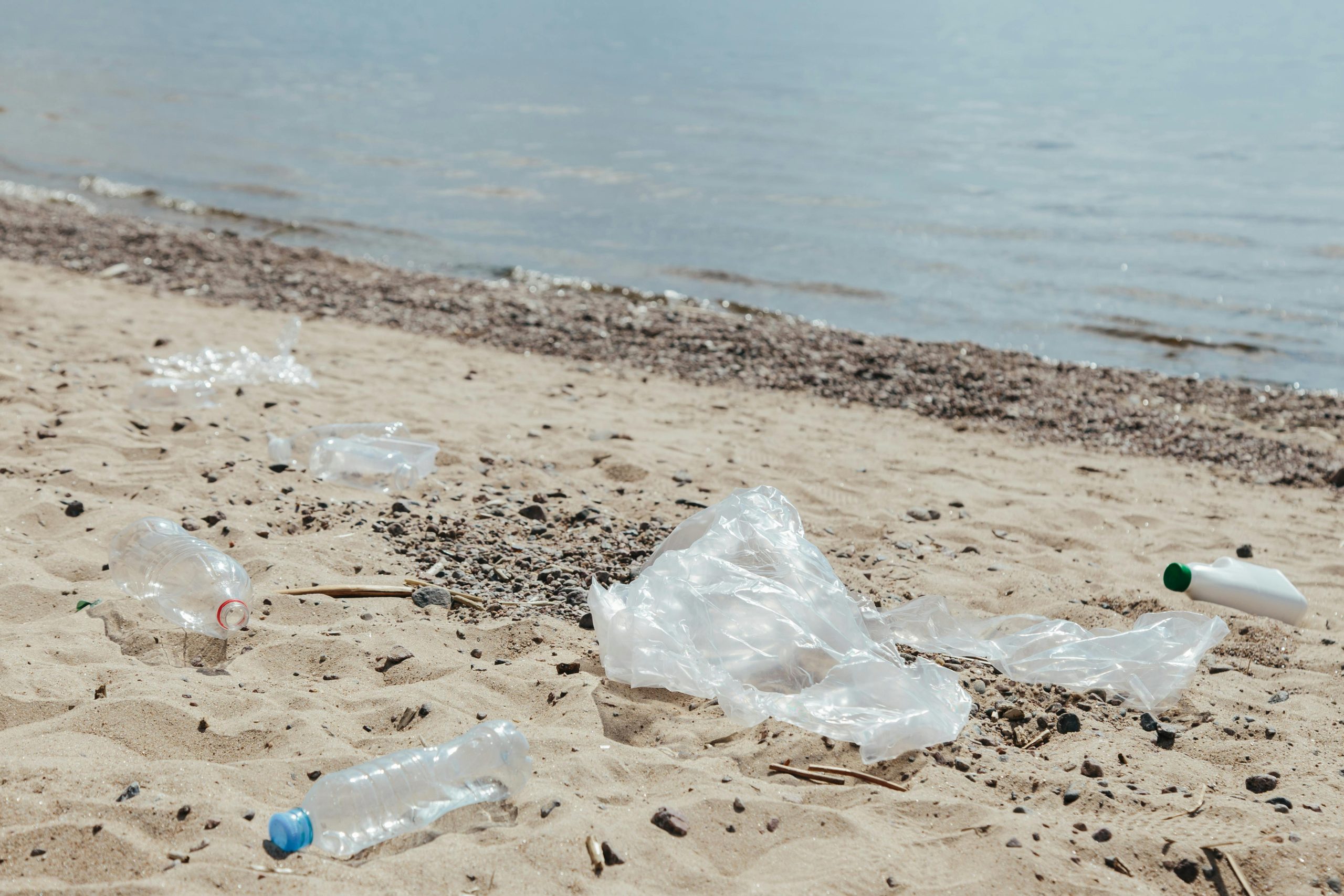Ferragosto solidale, volontari in prima linea per l’ambiente a Isola delle Femmine