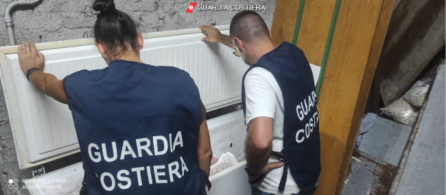 Sicilia orientale, operazione della Guardia Costiera: sequestri e sanzioni nella filiera ittica