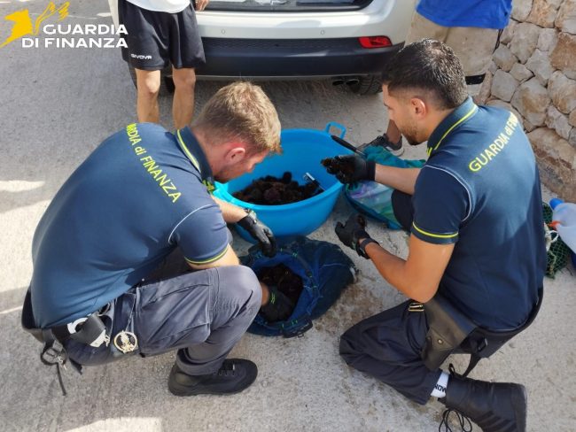 Scicli, sequestrati oltre 700 ricci di mare pescati illegalmente