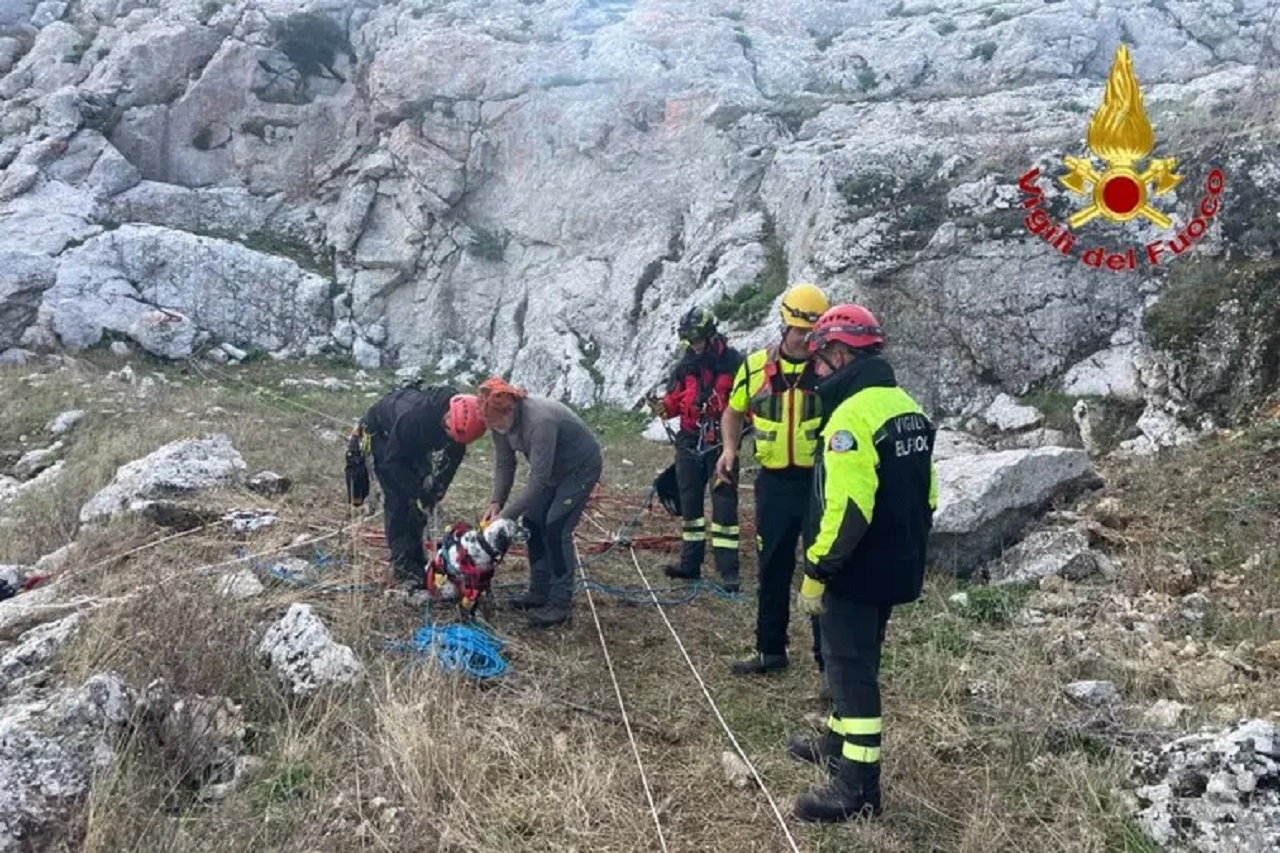 Cane resta bloccato in un monte del Palermitano: salvato dai vigili del fuoco
