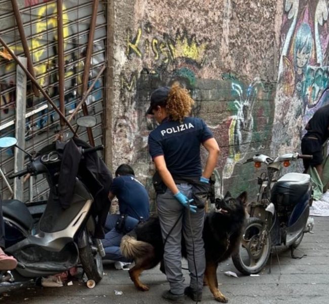 Controlli nel quartiere San Berillo di Catania: droga in edifici abbandonati, infrazioni al Codice della Strada e irregolarità in cinque attività commerciali