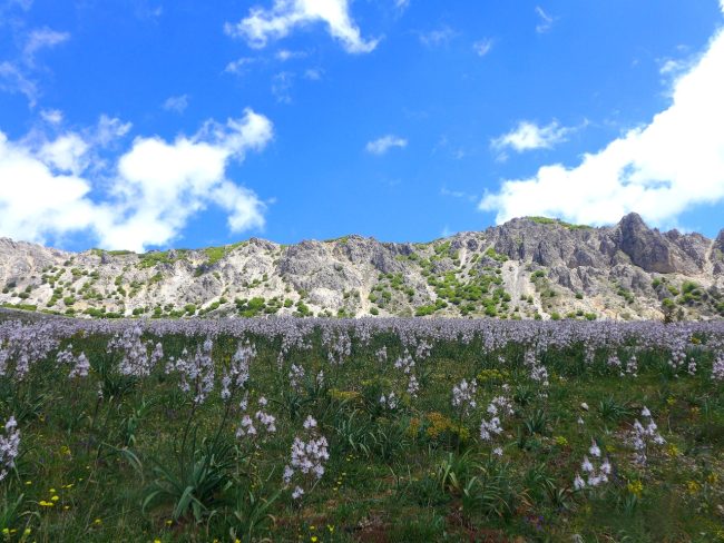 Riconoscimento per il Geoparco delle Madonie